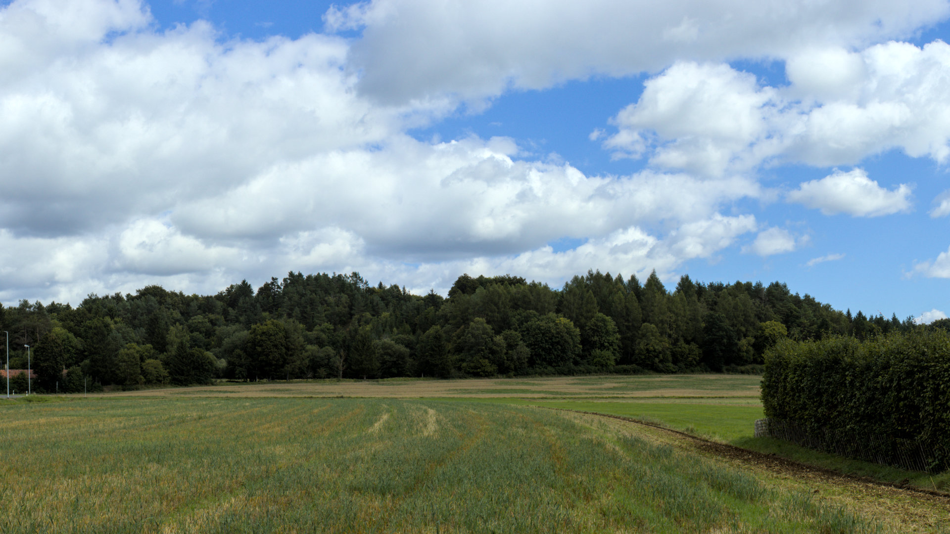 Bildpunkt 10 nachher