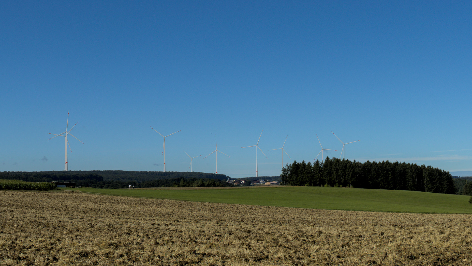 Bildpunkt 11 nachher